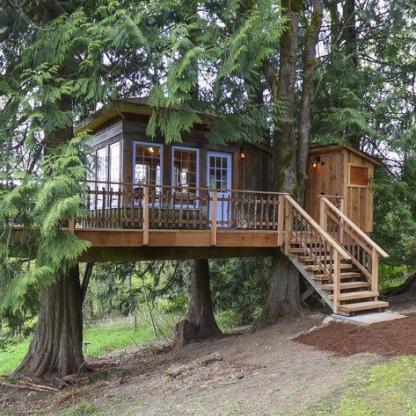 Casas na Árvore