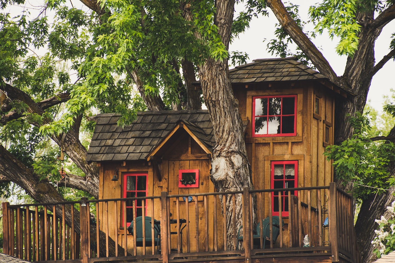 Casas na Árvore